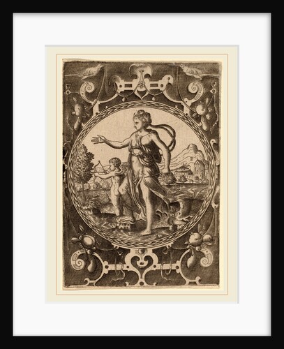 Venus by Abraham de Bruyn