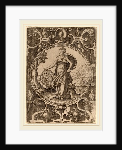 Juno by Abraham de Bruyn