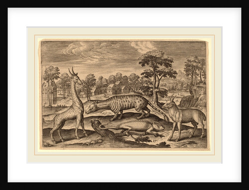 Animalium Quadrupedum by Adriaen Collaert