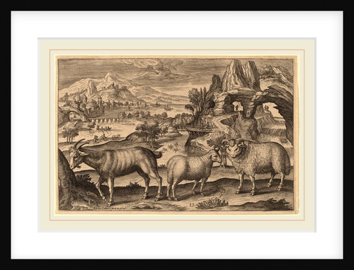 Animalium Quadrupedum by Adriaen Collaert