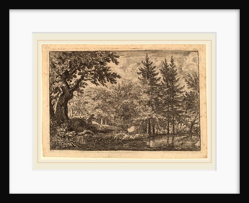 Fir Trees at the Water by Allart van Everdingen