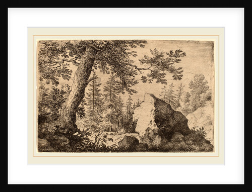 Boulder in the Woods by Allart van Everdingen