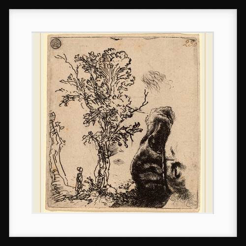 Sheet with Two Studies: a Tree, and the Upper Part of a Head of the Artist Wearing a Velvet Cap, c. 1642 by Rembrandt van Rijn