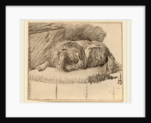 Lying Dog, 1777 by Cornelis Ploos van Amstel and Cornelis Brouwer
