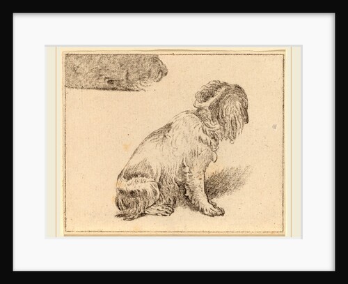 Seated Dog, 1777 by Cornelis Ploos van Amstel and Cornelis Brouwer