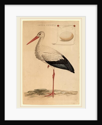 The White Stork by Jan Christiaan Sepp