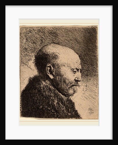 A Bald Man in Profile (The Artist's Father?) by Anonymous