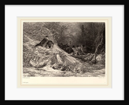 A l'abri du givre, Swiss by Karl Bodmer