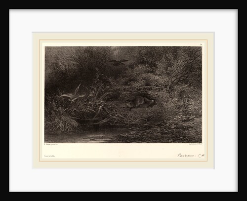 Renard à l'affût, Swiss by Karl Bodmer