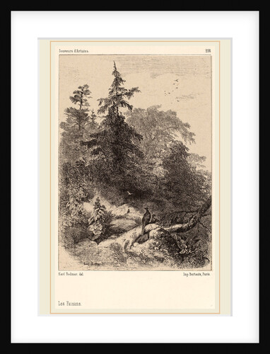 Les Faisans, Swiss by Karl Bodmer