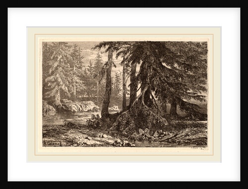 Essais de gravure à l'eau forte par Alexandre Calame, III, pl. 16 by Alexandre Calame