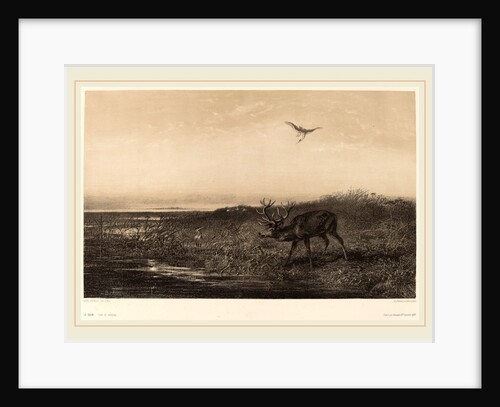 Le Soir. Cerf et Herons, Swiss by Karl Bodmer