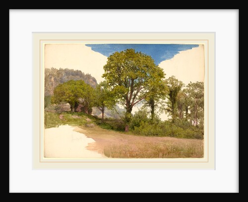 Trees Profiled against the Sky by John Henry Hill