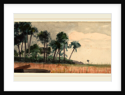 Palm Trees, Red by Winslow Homer