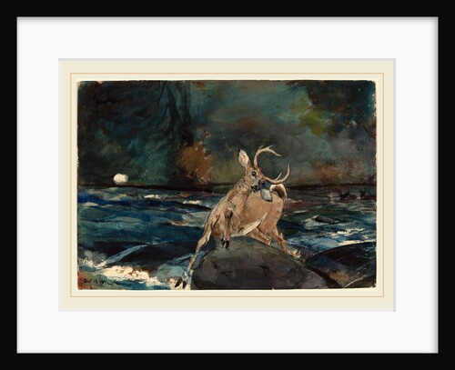 A Good Shot, Adirondacks by Winslow Homer