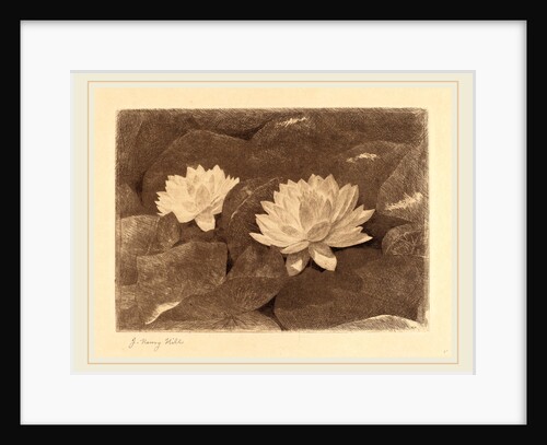 Waterlilies by John Henry Hill