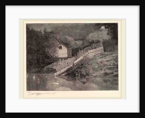 A Duck Pond by Henry Wolf