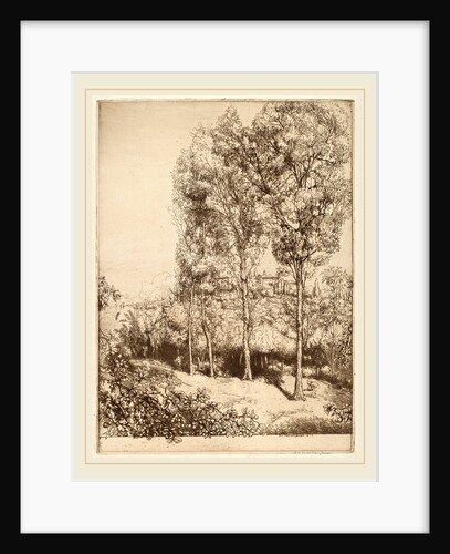 Sunlight and Shadows, No. 3, Canadian, 1913 by Donald Shaw MacLaughlan