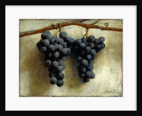Grapes by Joseph Decker