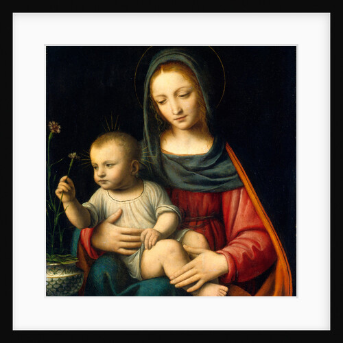 The Madonna of the Carnation by Bernardino Luini