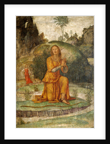 Procris' Prayer to Diana by Bernardino Luini