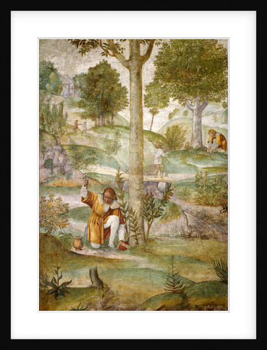 Cephalus Hiding the Jewels by Bernardino Luini