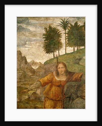 Procris Pierced by Cephalus' Javelin by Bernardino Luini