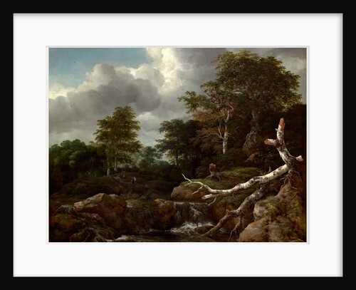 Dutch, Forest Scene, c. 1655 by Jacob van Ruisdael