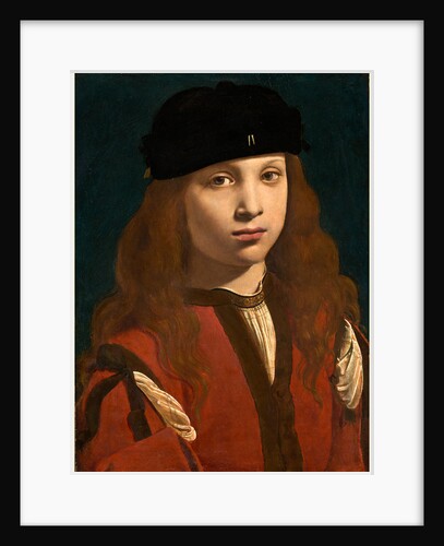 Italian, Portrait of a Youth by Giovanni Antonio Boltraffio