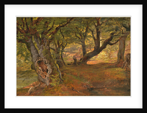 View of Bregentved Forest, Sjaeeland, mid 1830s by Frederik Sødring