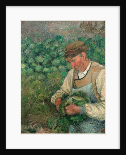 The Gardener-Old Peasant with Cabbage by Camille Pissarro