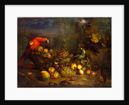 Parrots and Fruit with Other Birds and a Squirrel by Tobias Stranover