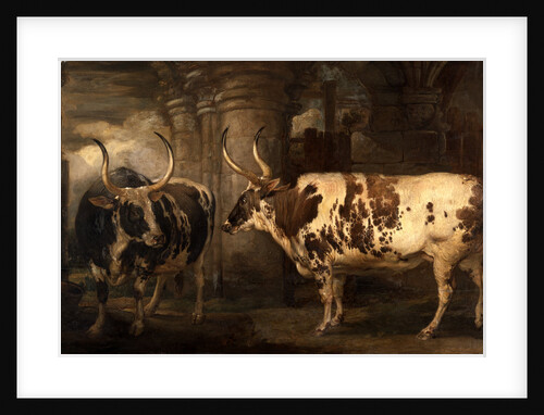 Portraits of two extraordinary oxen, the property of the Earl of Powis by James Ward