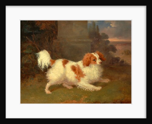 A Blenheim Spaniel, William Webb, ca. 1780-1845 by William Webb