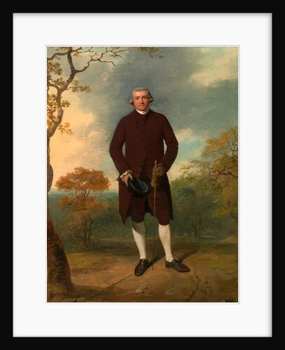 Portrait of a Man, called George Basil Woodd Called Basil Woodd by Francis Wheatley
