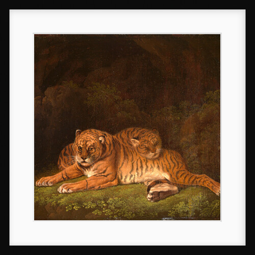 Tigers by Charles Towne