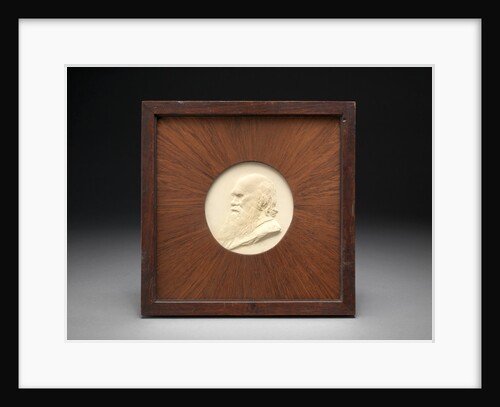 Charles Darwin by Alphonse Legros