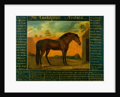 The Godolphin Arabian by Daniel Quigley