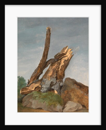 Study of Rocks and Branches by George Augustus Wallis