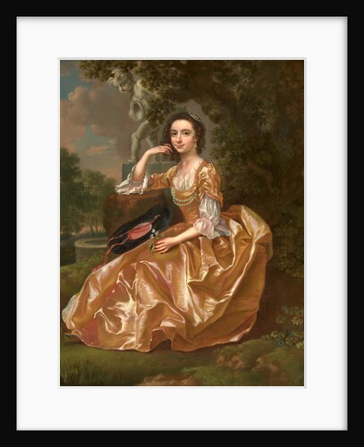 Mrs. Mary Chauncey a Young Woman by Francis Hayman