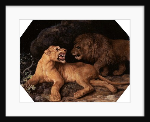 Lion and Lioness by George Stubbs