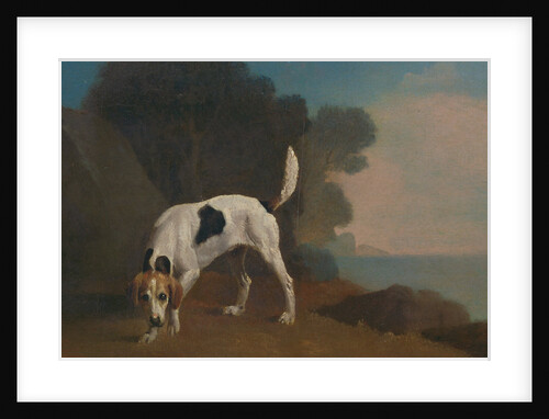Foxhound Foxhound on the Scent by George Stubbs