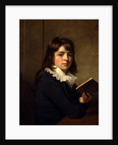 Portrait of a Boy An Unknown Boy by Sir William Beechey