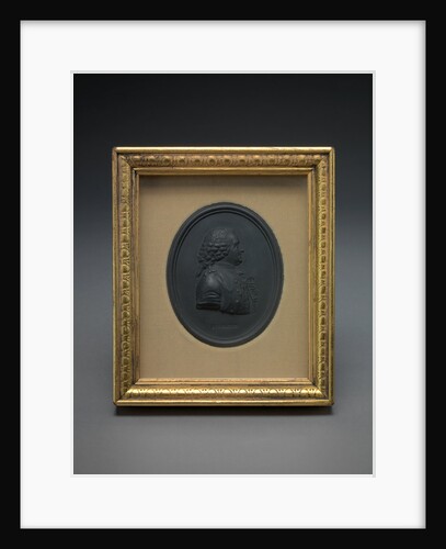 Sir Charles Linnaeus by Josiah Wedgwood