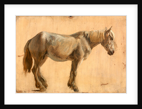 Study of a Grey Horse by Jacques-Laurent Agasse