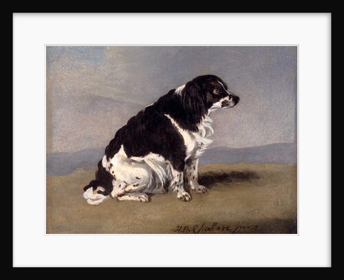 The Duchess of York's Spaniel by Henry Bernard Chalon