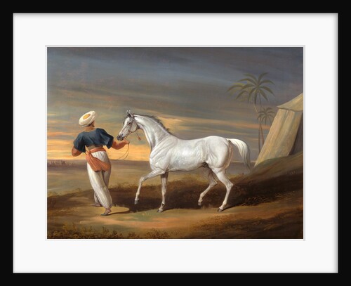 Signal, a Grey Arab, with a Groom in the Desert by David Dalby of York