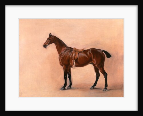 Study of a Saddled Bay Hunter by John Ferneley