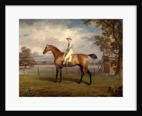 Portrait of a Racehorse, Possibly Disguise by George Garrard
