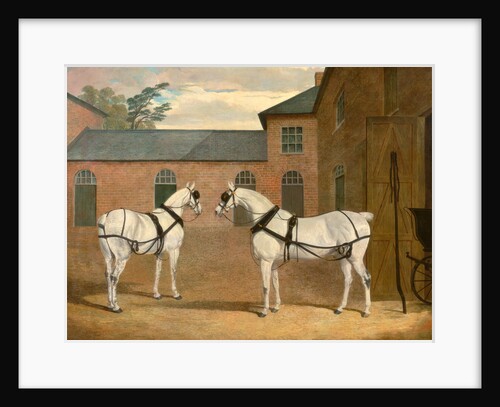 Grey carriage horses in the coachyard at Putteridge Bury by John Frederick Herring